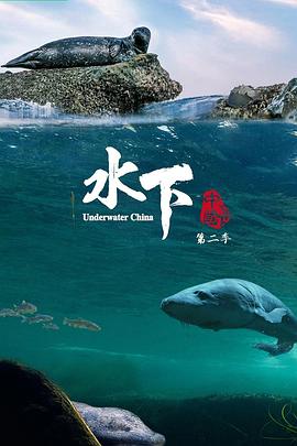 导航大全