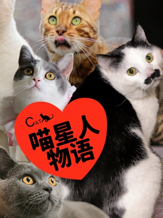如何通过身份证查询开房记录